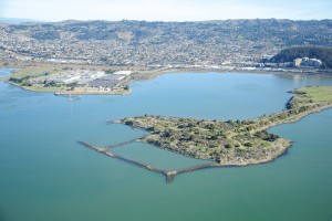 The Albany Bulb. Source: http://www.berkeleyside.com/2013/09/05/whats-that-san-francisco-bay-as-seen-from-the-air/
